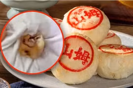 Nghi vấn phát hiện răng người trong nhân bánh trung thu tại Trung Quốc