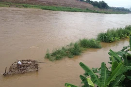 Lũ xảy ra đồng loạt trên sông ngòi miền Bắc