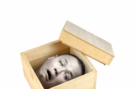 Vì sao người bị đứt đầu vẫn… “nói chuyện” được?