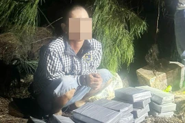 Thu giữ 22 kg ma túy nhặt được ở bãi biển TP Vũng Tàu