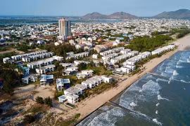 Vì sao công ty Rừng Dương bị phạt hơn 100 triệu đồng