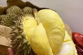 Thu chục triệu mỗi ngày nhờ bán sầu Thái mini