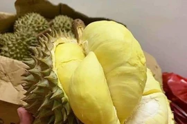 Thu chục triệu mỗi ngày nhờ bán sầu Thái mini