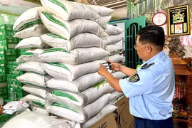 Tạm giữ hơn 6.800 kg đường cát nhập lậu từ Campuchia