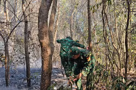 Bà Rịa - Vũng Tàu: Điều tra nguyên nhân vụ cháy 3.000 m2 rừng