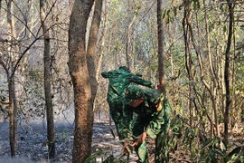 Bà Rịa - Vũng Tàu: Điều tra nguyên nhân vụ cháy 3.000 m2 rừng