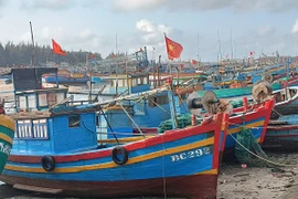 Bà Rịa-Vũng Tàu: Cấp số tạm cho 1.095 tàu cá '3 không'
