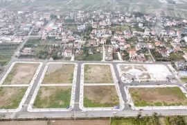 Liên tiếp sự cố khách trả nhầm đấu giá đất hàng tỷ đồng mỗi m2