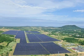 Hà Đô, PV Power đồng loạt sụt giảm lợi nhuận sau kiểm toán?