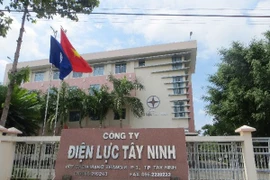 Cty Việt Trường: Nhà thầu 'quen mặt' của các doanh nghiệp điện miền Tây