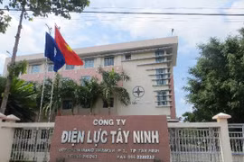 Cty Việt Trường: Nhà thầu 'quen mặt' của các doanh nghiệp điện miền Tây