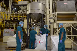 DN xuất khẩu Việt Nam vượt khó trước chính sách thuế mới từ Mỹ