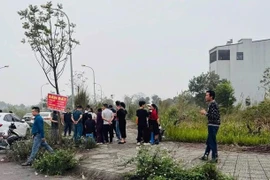 Giá đất sẽ ‘sốt nóng’ theo thông tin các tỉnh sáp nhập ?