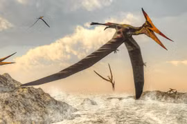 Bất ngờ cách loài thằn lằn bay khổng lồ thời tiền sử cất cánh