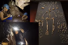 Sự thật gây sốc về hầm mộ loài người từng 'hoán đổi' với chúng ta