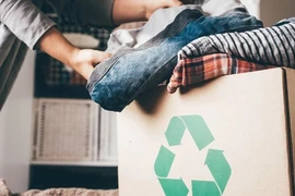 Cellulose kỵ nước có tiềm năng thay thế sản phẩm từ dầu mỏ