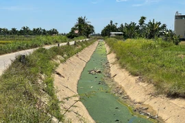 Quảng Ngãi: Ô nhiễm từ các điểm dừng nghỉ, tắm gia súc 