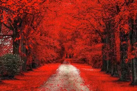 Người sinh vào giờ này có phẩm chất vàng, êm ấm, sung túc