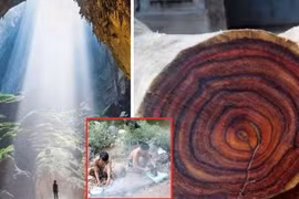 Tộc người bí ẩn của Việt Nam sở hữu rừng gỗ sưa trăm tỷ