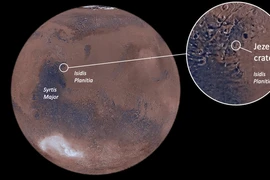 Tảng đá sao Hỏa có hoa văn kỳ lạ khiến ai cũng ngỡ ngàng