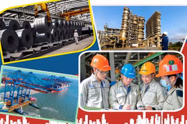 Trí thức trẻ góp phần phát triển trình độ KH&CN của Quảng Ngãi