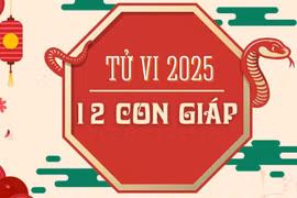 Dự đoán 12 con giáp năm 2025, tuổi nào tài lộc, tuổi nào đen?