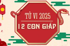 Dự đoán 12 con giáp năm 2025, tuổi nào tài lộc, tuổi nào đen?