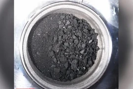 Tuyên bố chấn động: Các mẫu đất mang từ tiểu hành tinh Ryugu có sự sống?