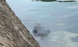 Phát hiện thi thể cụ bà dưới mương khu đô thị ở Quảng Ninh