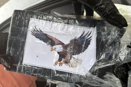 Đi thuyền trên biển, người dân vớt được thứ trị giá 24,6 tỷ 