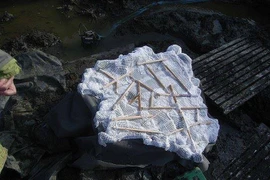 Giỏ trứng 1700 tuổi tiết lộ thông tin quý về thời La Mã cổ