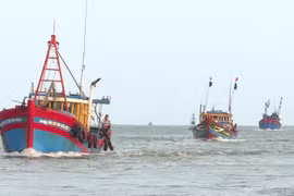 Xác minh vụ việc 2 tàu cá báo bị tấn công ở Hoàng Sa