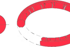 Kinh ngạc robot siêu nhỏ hình khuyên có thể di chuyển trong chất nhầy