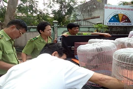 Bắt quả tang người đàn ông bán chim rừng trên quốc lộ