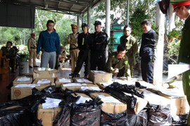 Bắt 2 cha con ở Quảng Bình tàng trữ gần 1 tấn pháo lậu