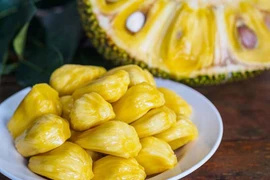 Tác dụng bất ngờ của quả mít chống viêm gan