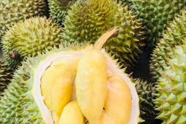 Thực hư sầu riêng 30.000 đồng/trái