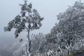 Băng tuyết trên đỉnh Mẫu Sơn: Du khách hào hứng, người dân chán ghét