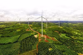  Đắk Nông triển khai bao nhiêu dự án nhà máy điện gió? 