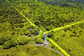 Sống trọn với thiên nhiên nơi đất rừng U Minh Hạ