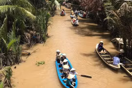 Du lịch “chữa lành” ở Cù lao Thới Sơn 