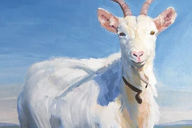 Tử vi tuần mới (5/2 - 11/2): Top 3 con giáp nhận lộc trời ban