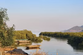 Sân golf Xuân Đám có tác động tiêu cực đến rừng ngập mặn?