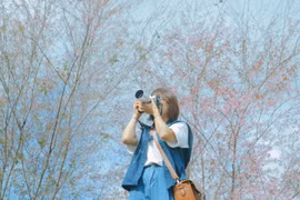 Về Măng Đen ngắm mai anh đào khoe sắc