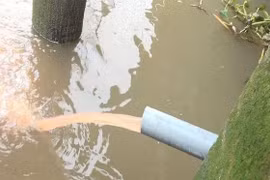 Công ty TNHH YIDO VINA vi phạm môi trường thế nào?