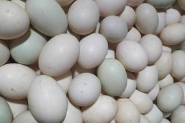 Trứng vịt giảm giá mạnh 