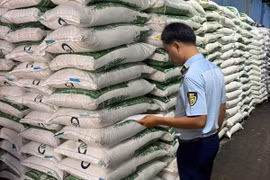 TP HCM: Tạm giữ 2 tấn đường cát nhập lậu