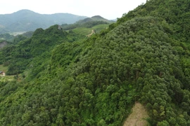 Người dân kêu cứu vì mất đất, chính quyền địa phương nói gì?