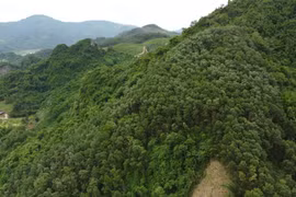 Người dân kêu cứu vì mất đất, chính quyền địa phương nói gì?