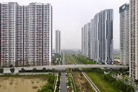 Trình Quốc hội cho phép thi hành sớm Luật Đất đai